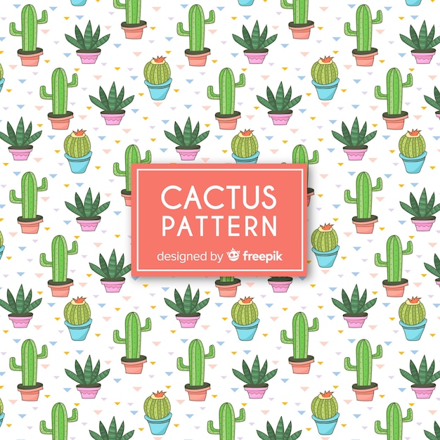 Modello di cactus piatto