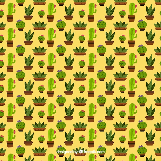 Flat cactus pattern