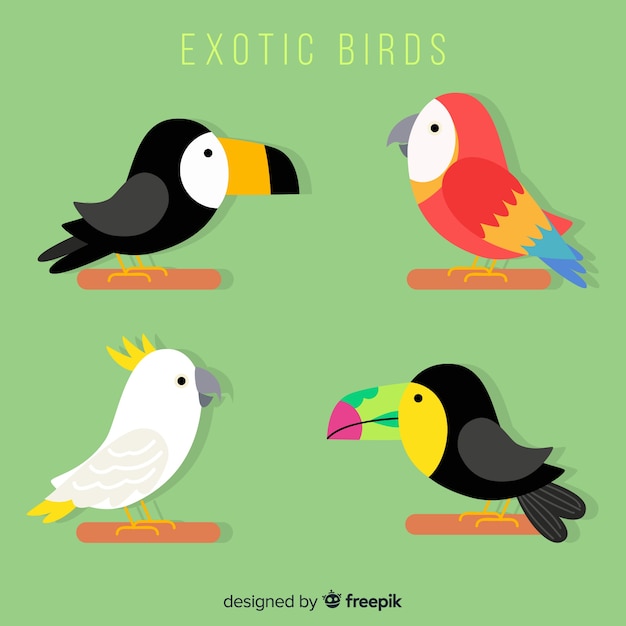 Free vector flat cartoon exotic bird collection