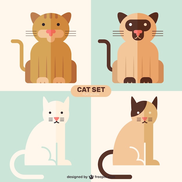 Flat cat breed collection