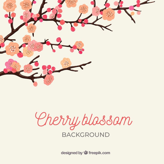 Flat cherry blossom background