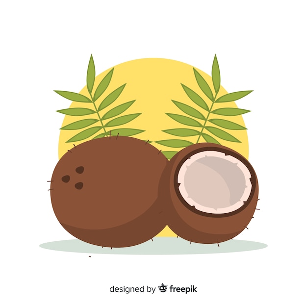 Flat coconut illustration