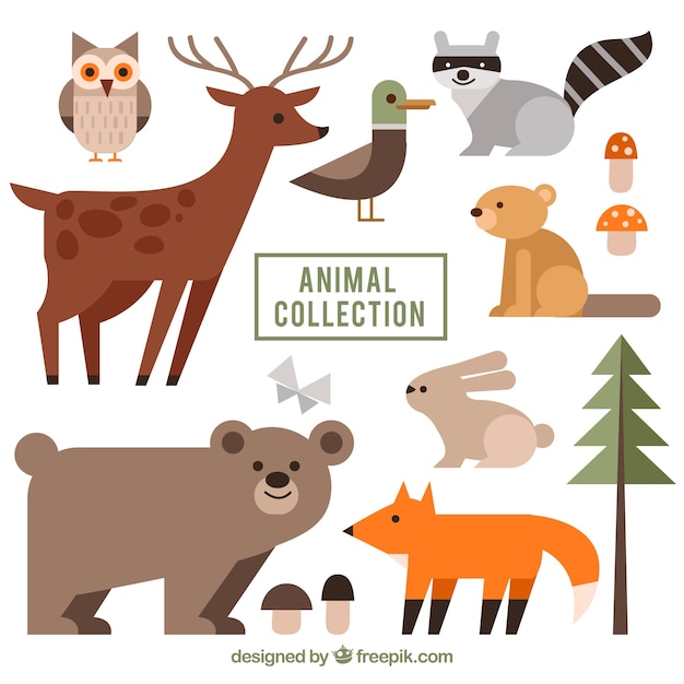 Free vector flat collection of wild animals