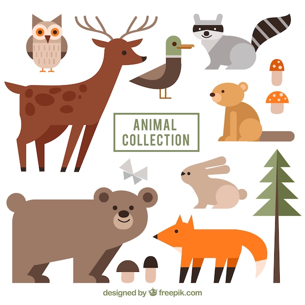 Flat collection of wild animals
