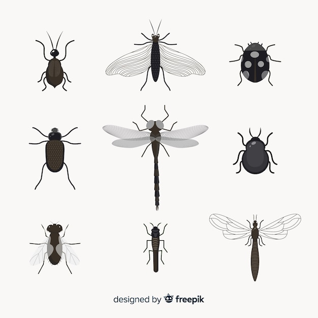 Flat colorless insect pack