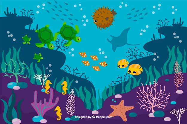 Плоский коралловый фон с рыбой и морскими звездами