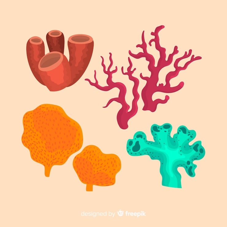 Free Vector flat coral collection
