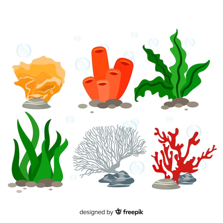 무료 Vector 평평한 산호 수집