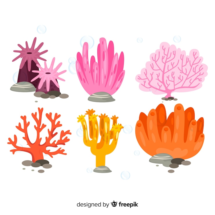 Free Vector flat coral collection