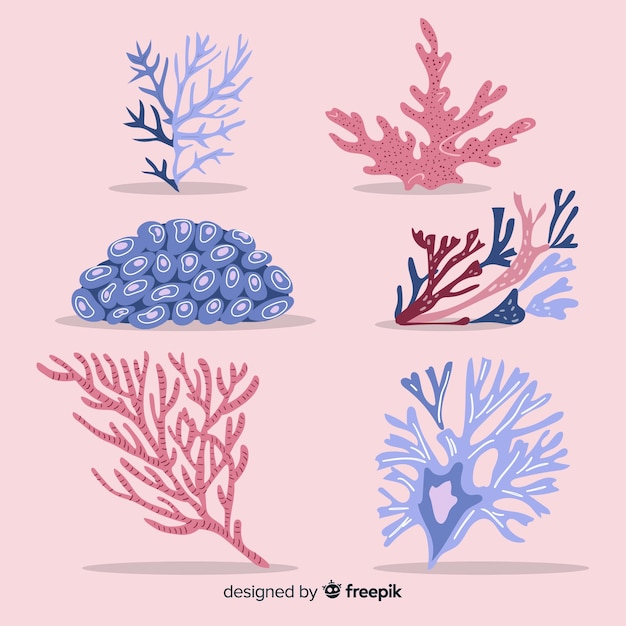 Бесплатное векторное изображение Плоская коллекция кораллов