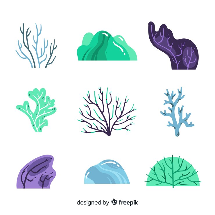 Free Vector flat coral collection