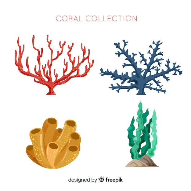 Free vector flat coral collection