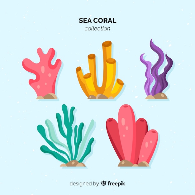 Flat coral collection