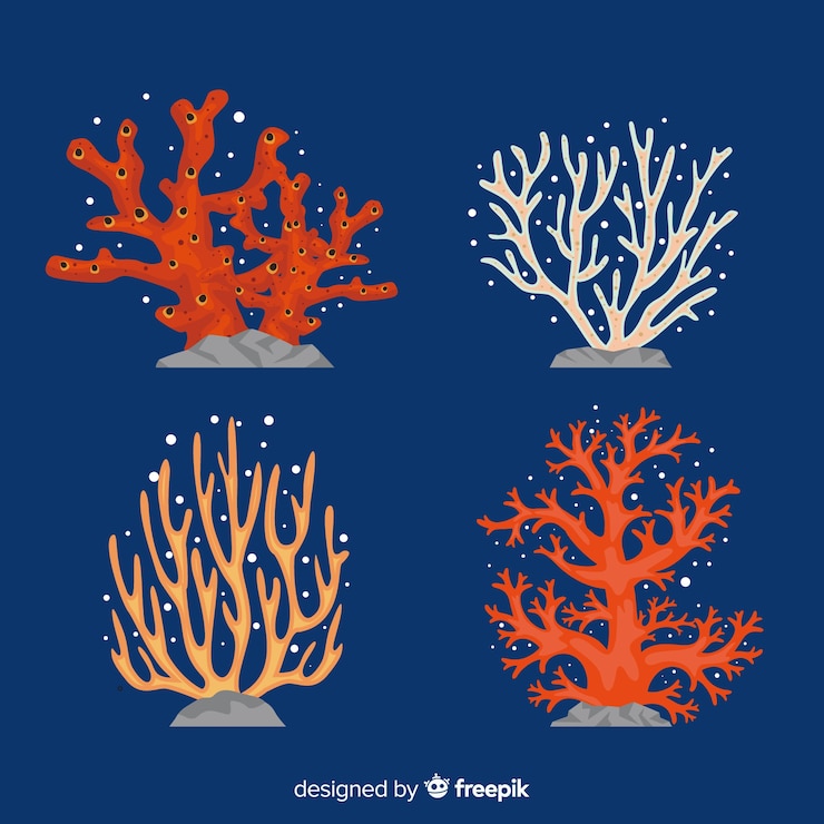 Free Vector flat coral collection