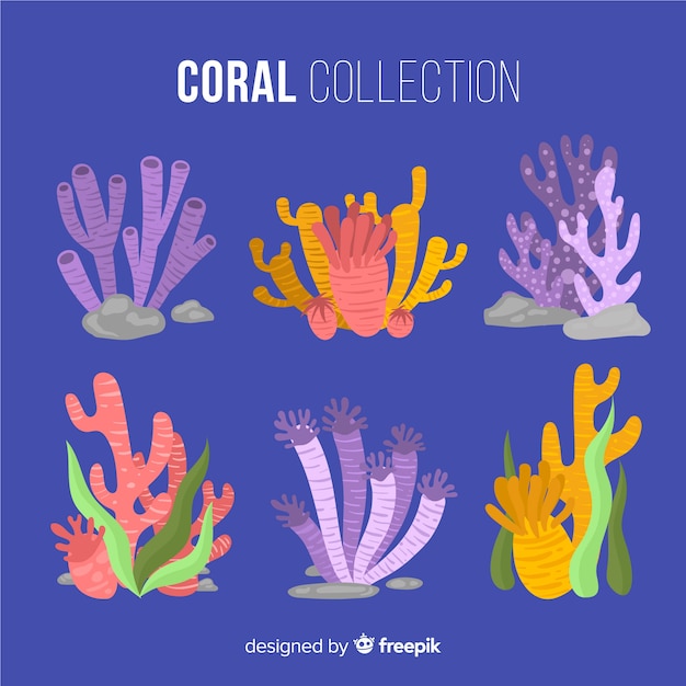 Flat coral collection