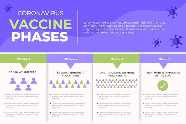 Flat coronavirus vaccine phases infographic
