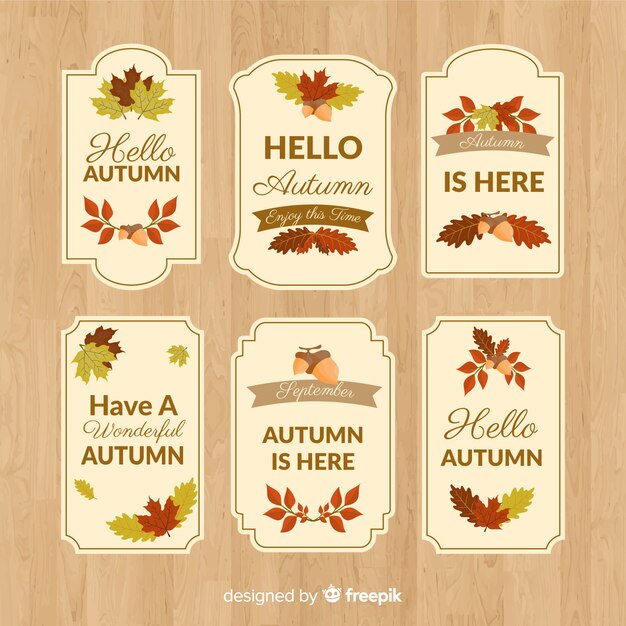 Flat design autumn badge collection