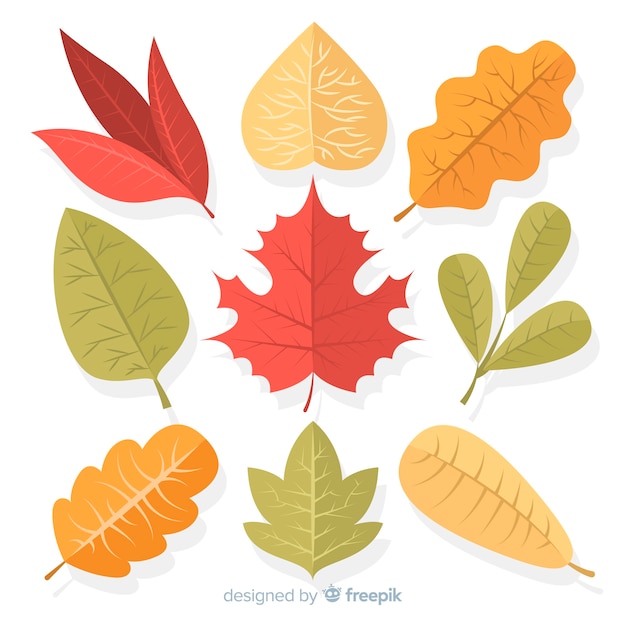 Бесплатное векторное изображение Плоский дизайн коллекции осенних листьев