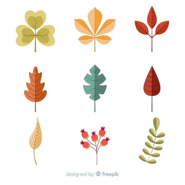 Free vector flat design autumn leaves collection