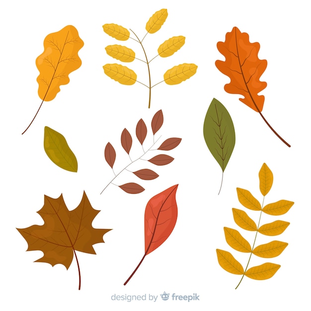 Flat design autumn leaves collection