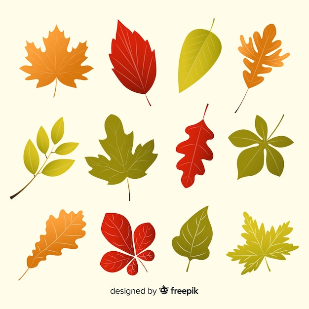 Flat design autumn leaves collection