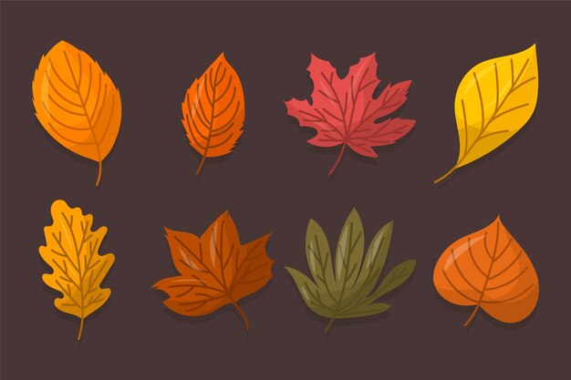 Flat design autumn leaves collection