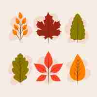 Free vector flat design autumn leaves pack