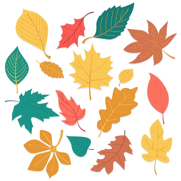 Free vector flat design autumn leaves set