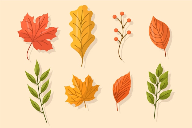 Flat design autumn leaves set