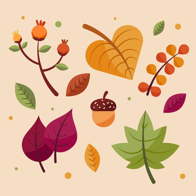 Flat design autumn leaves set