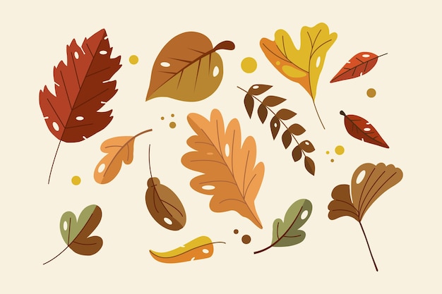 Flat design autumn leaves set