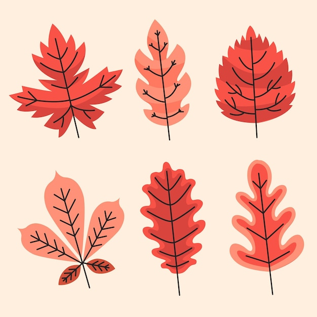 Free vector flat design autumn leaves