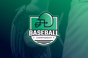 Flat design baseball logo