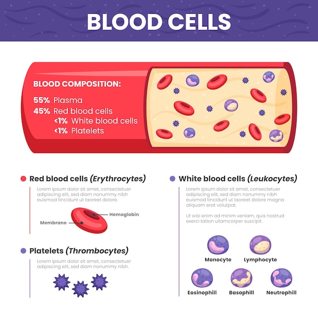 무료 벡터 평면 디자인 혈액 infographic