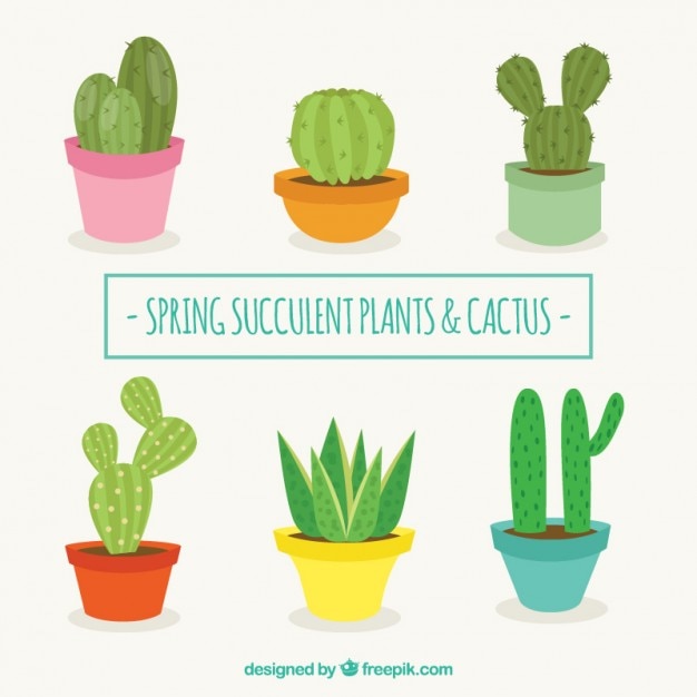Flat design cactus collection
