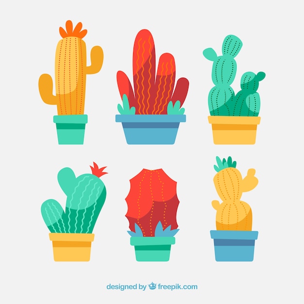 Бесплатное векторное изображение Коллекция кактусов с плоским дизайном