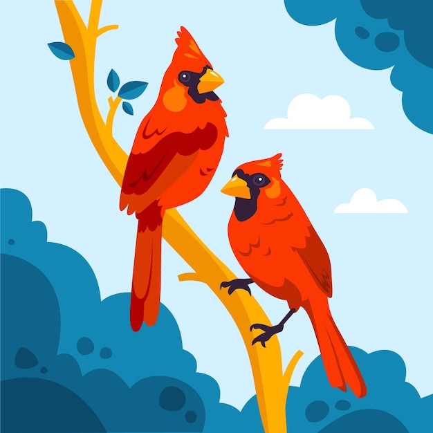 Free vector flat design cardinal bird illustration