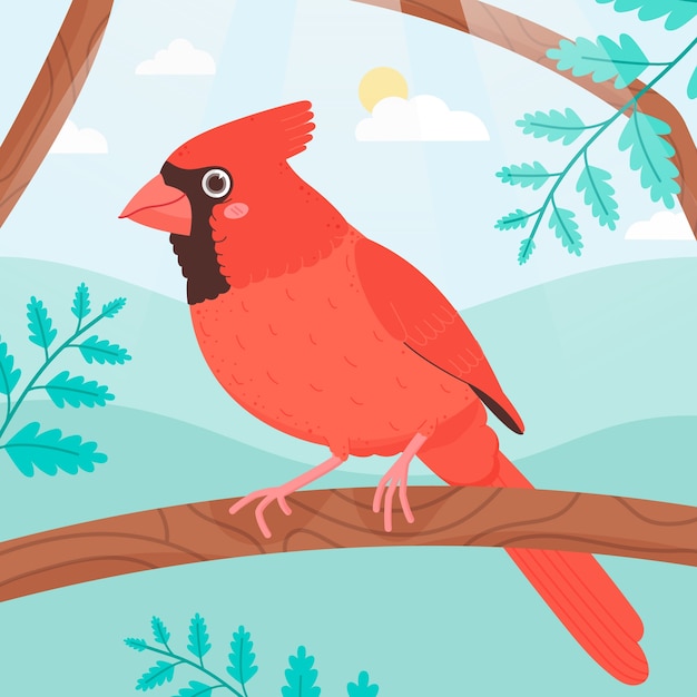 Free vector flat design cardinal bird illustration