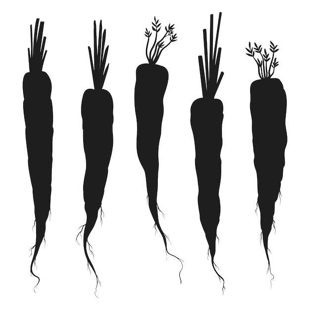 Flat design carrot silhouette