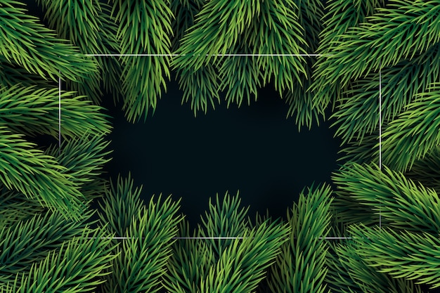 Flat design christmas tree branches background