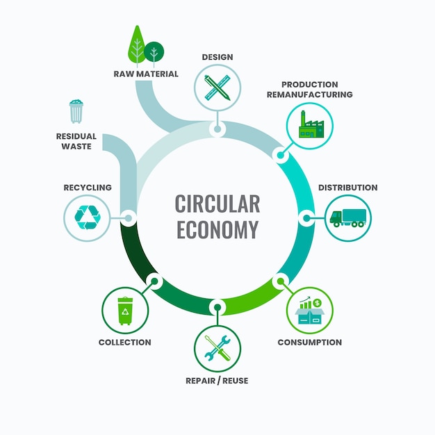 Flat design circular economy infographic