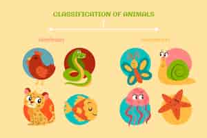 Free vector flat design classification of animals infographic