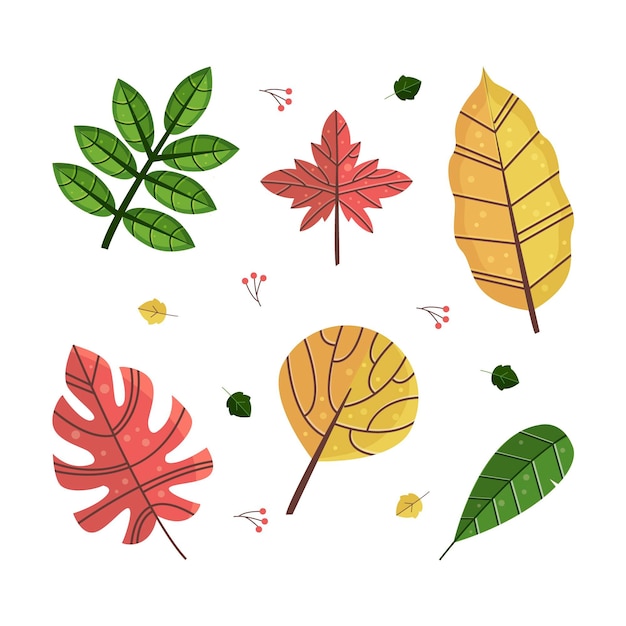 Free vector flat design colorful leaves collection