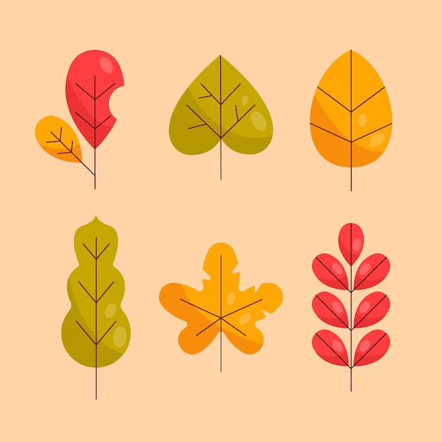 Flat design of colorful leaves