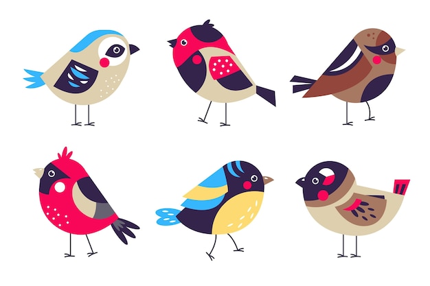 Flat design colorful robin set