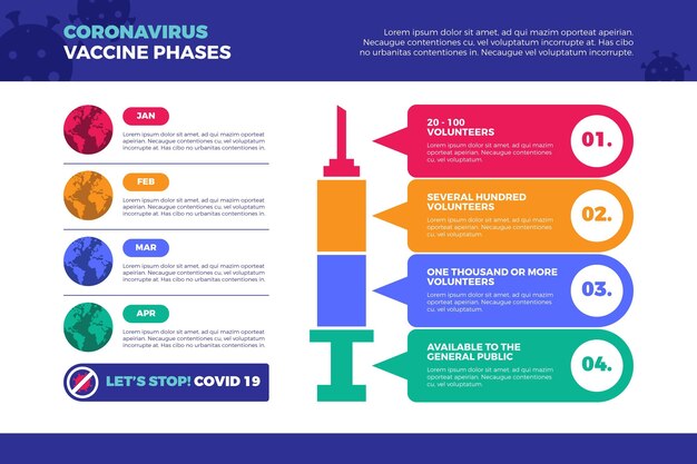 Flat design coronavirus vaccine phases