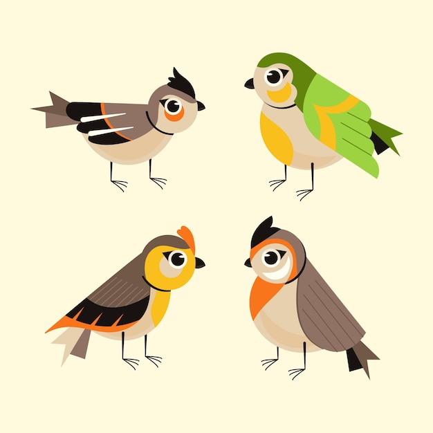 Flat design cute robin set