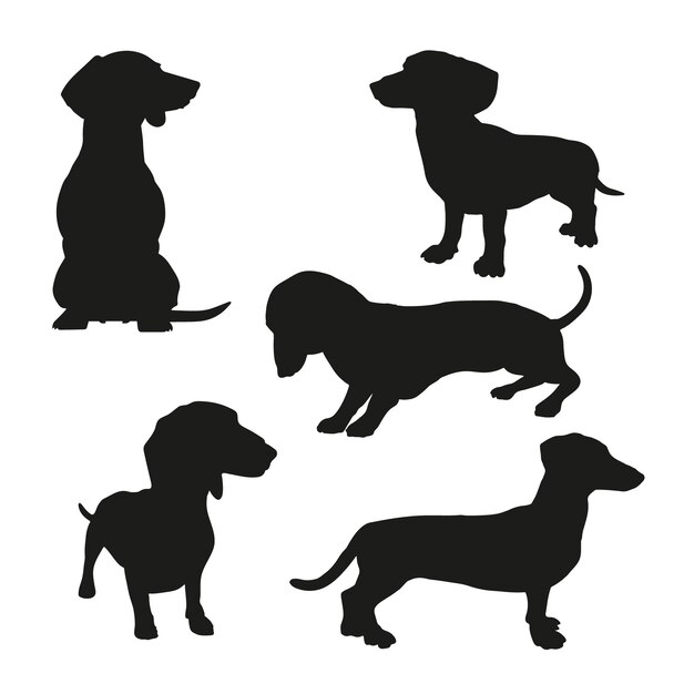 Flat design dachshund silhouette illustration
