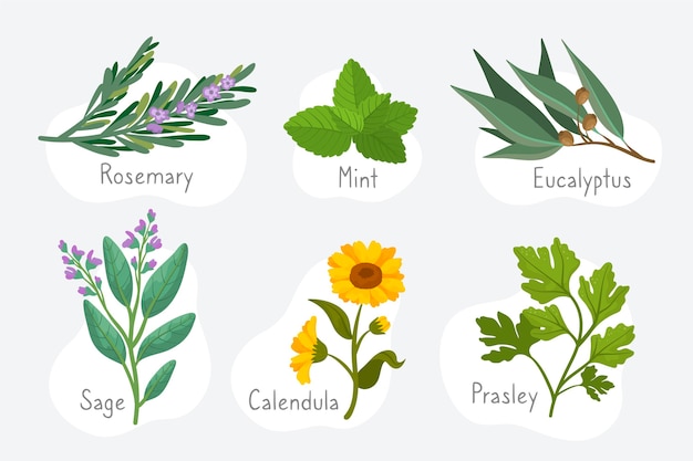 Flat design essential oil herb collection