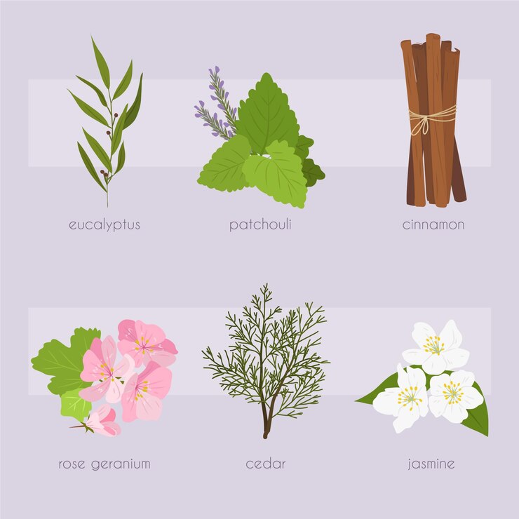 Free Vector flat design essential oil herb pack
